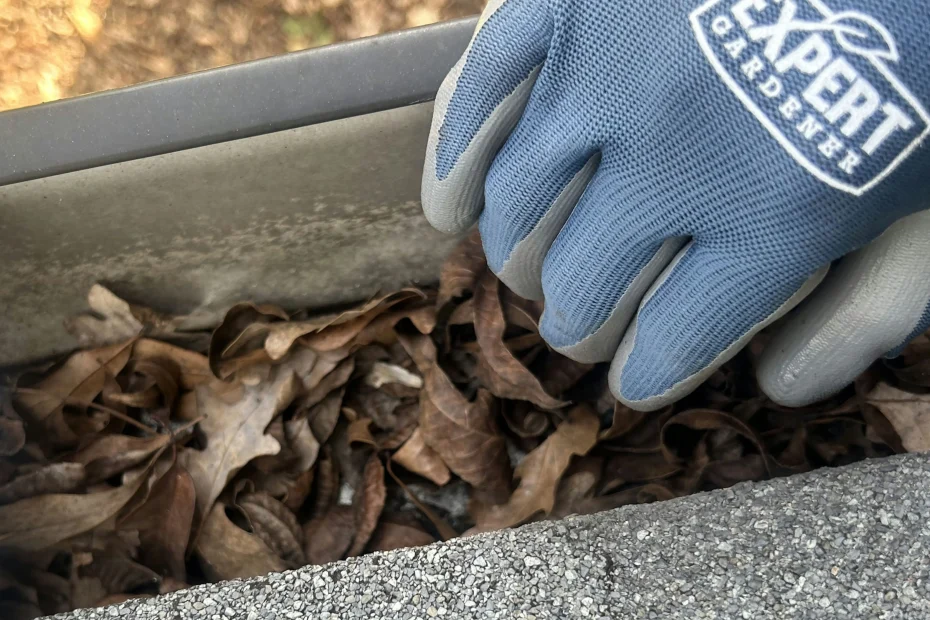 Gutter Cleaning Heath TX