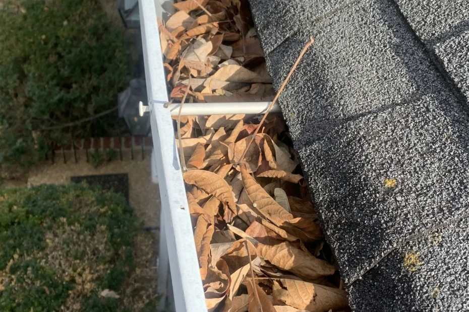 Gutter Cleaning Heath TX